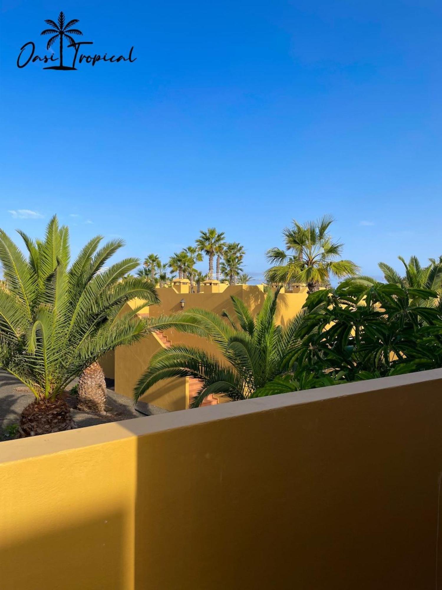 קורלחו Oasi Tropical Wifi Free By Rentalfue מראה חיצוני תמונה